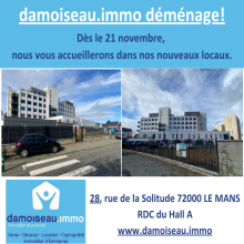 damoiseau immo dmnage!