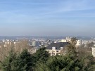 vue