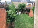 IMG_2221-3839162686008816106
