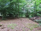 TERRAIN