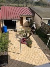 Jardin-1172252436554714629