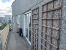 IMG_1356-6015522289489640105