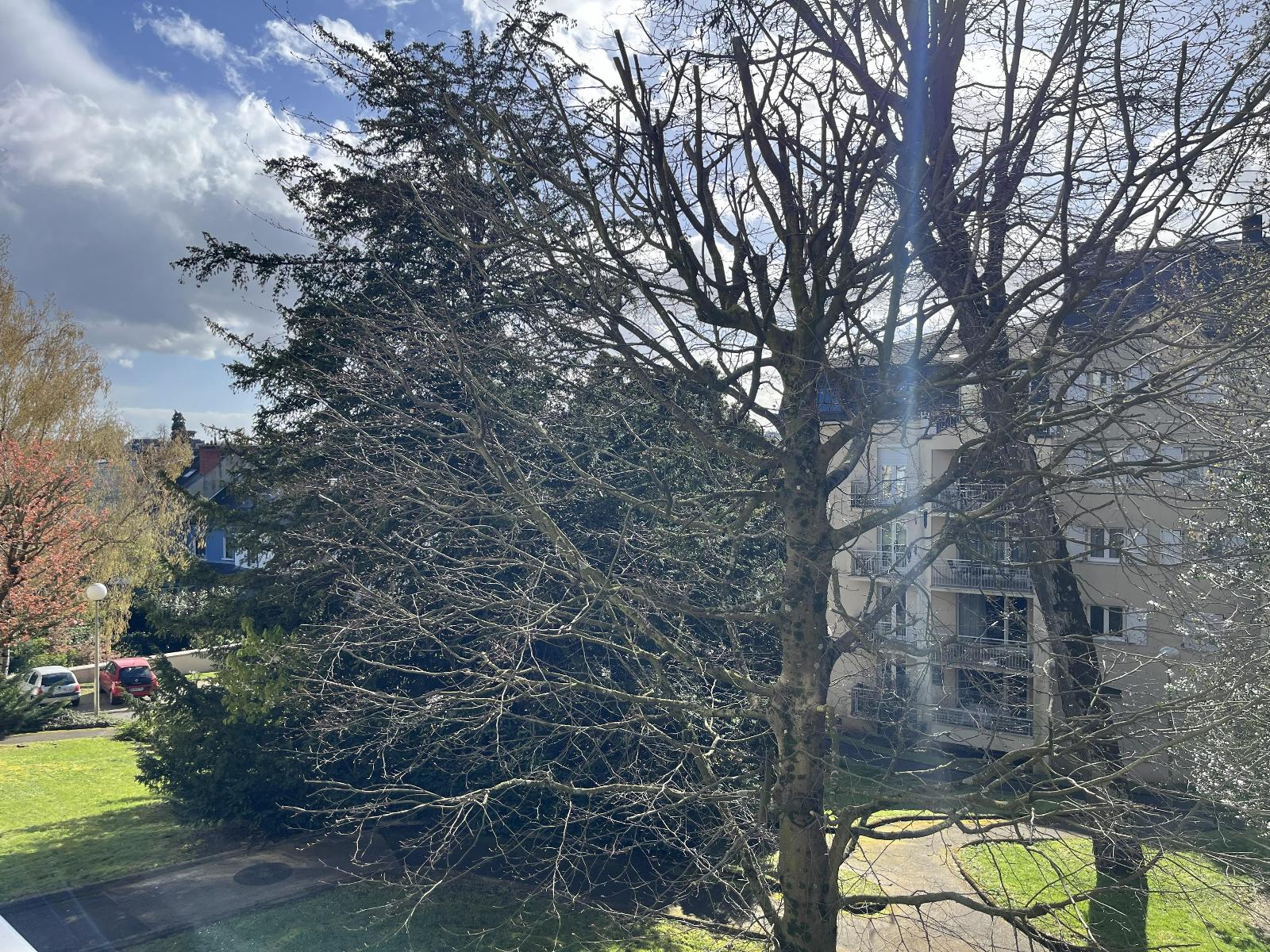 appartement 4 pièces - LE-MANS